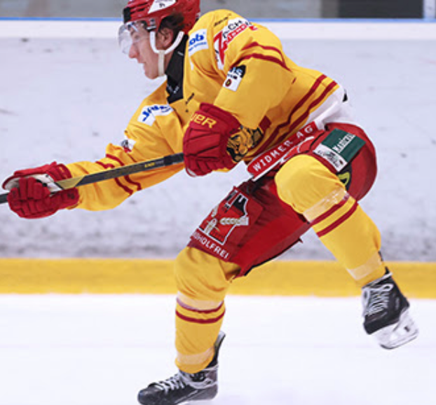 Einladung Business Event der SCL Tigers
